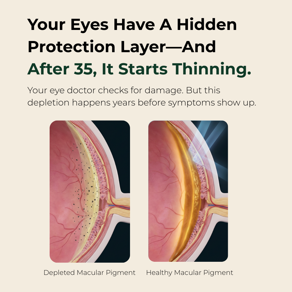 Augenschutzformel – Lutein-Zeaxanthin-Kapseln von AVIV™